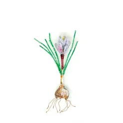 Broche – Saffron Crocus Brooch Pin