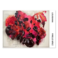Firelei Báez – Fruta Fina