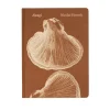Fungi