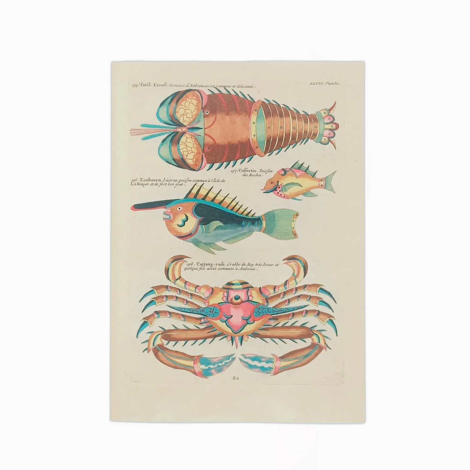 Postkort – Louis Renard – Poissons ecrevisses et crabes (1754)