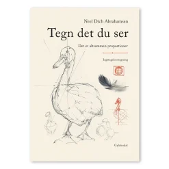 Tegn det du ser