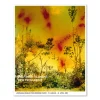 Wolfgang Tillmans – Icestorm (2001)